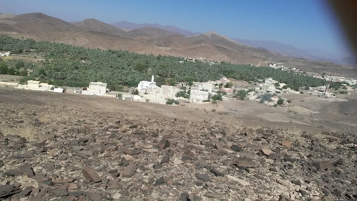 Al Hayal for Primary Education - Photo 3 of 3