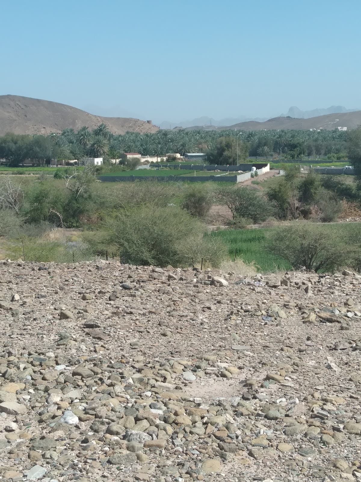 Al Hayal for Primary Education - Photo 4 of 3