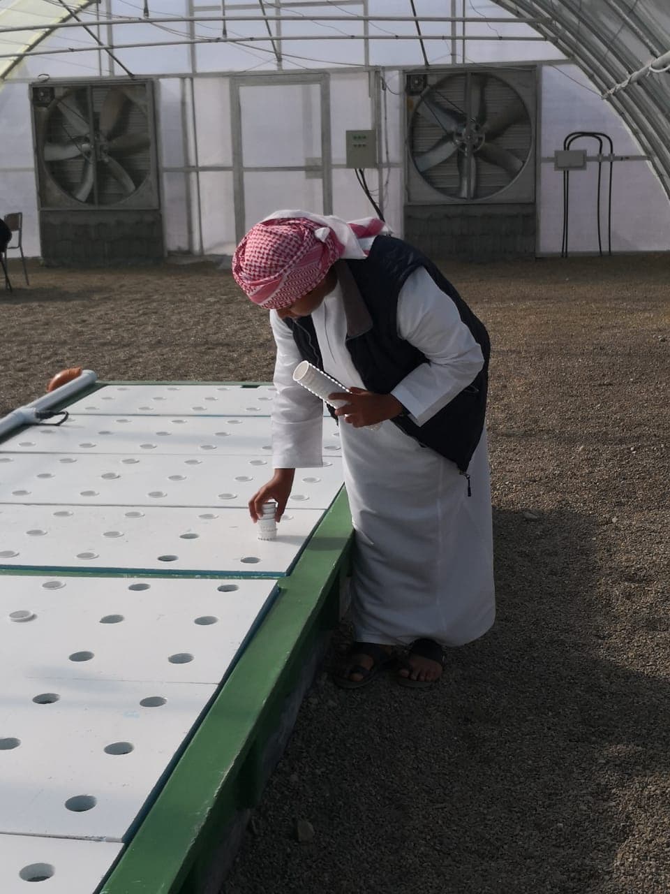 Abu Al Drda School - Ibri, Al Dhahirah - School in Oman