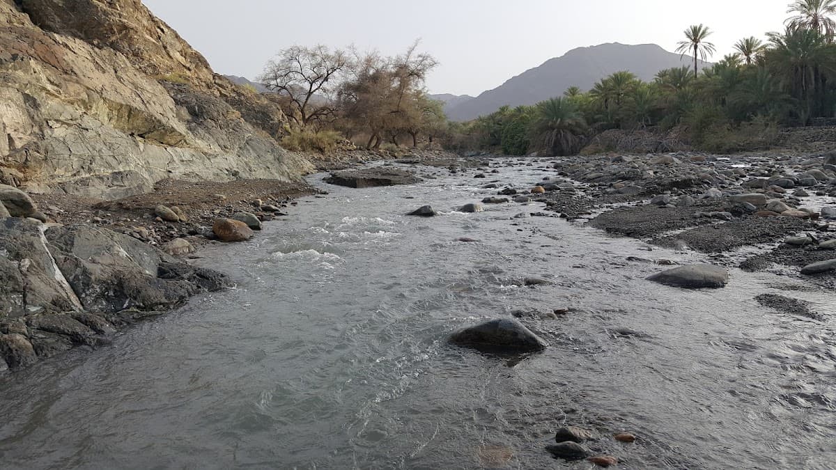 Al hehal School - Photo 1 of 3