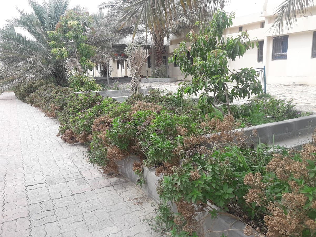 Jafar atayar School - Photo 2 of 3