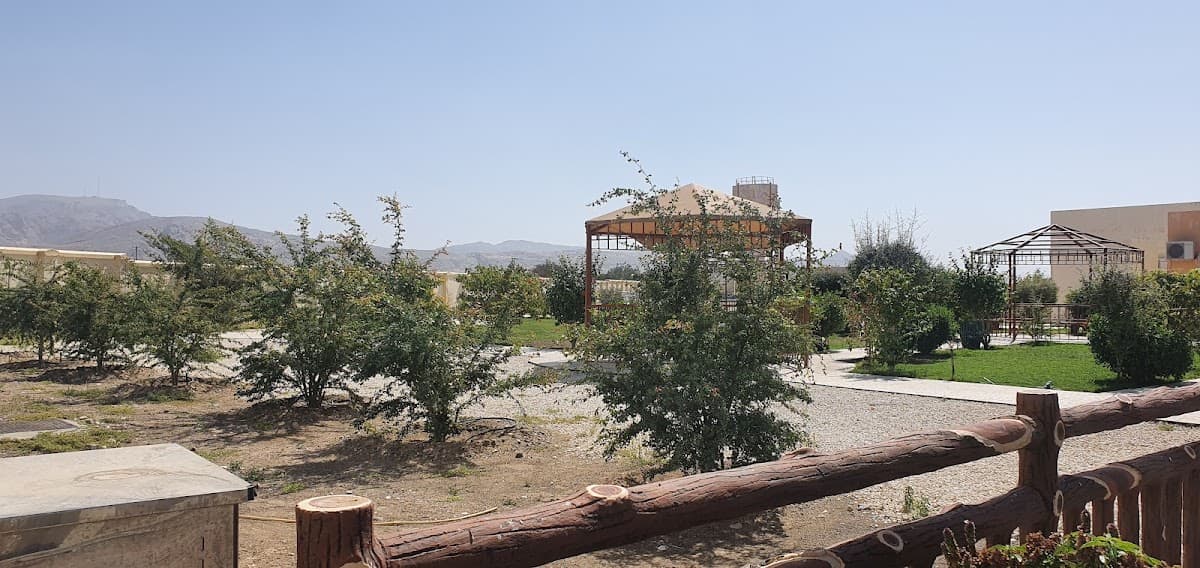 Um Ateya Al Ensaria for Primary Education - Photo 3 of 3