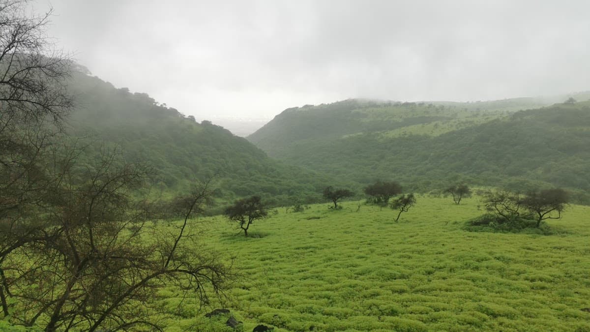 Hajeef for Primary Education - School Building