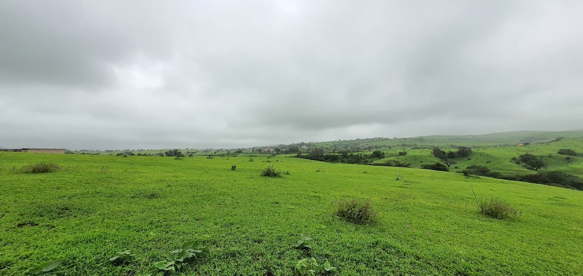 Wadi Ain for Primary Education - Photo 2 of 3