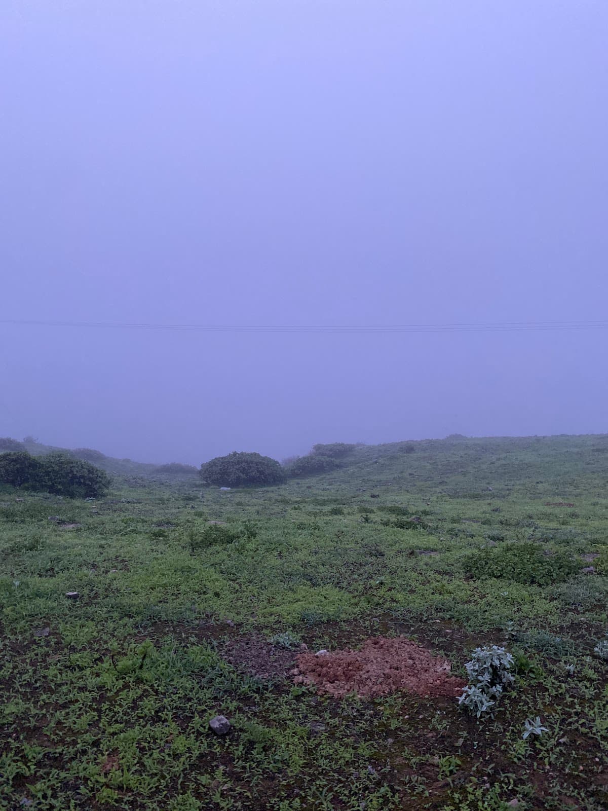 Quftat for Primary Education - School Building