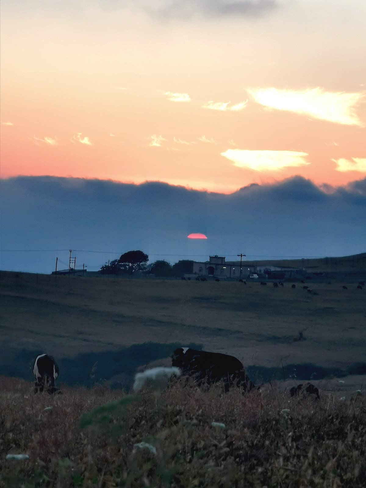 Ashenhaib for Primary Education - School Building