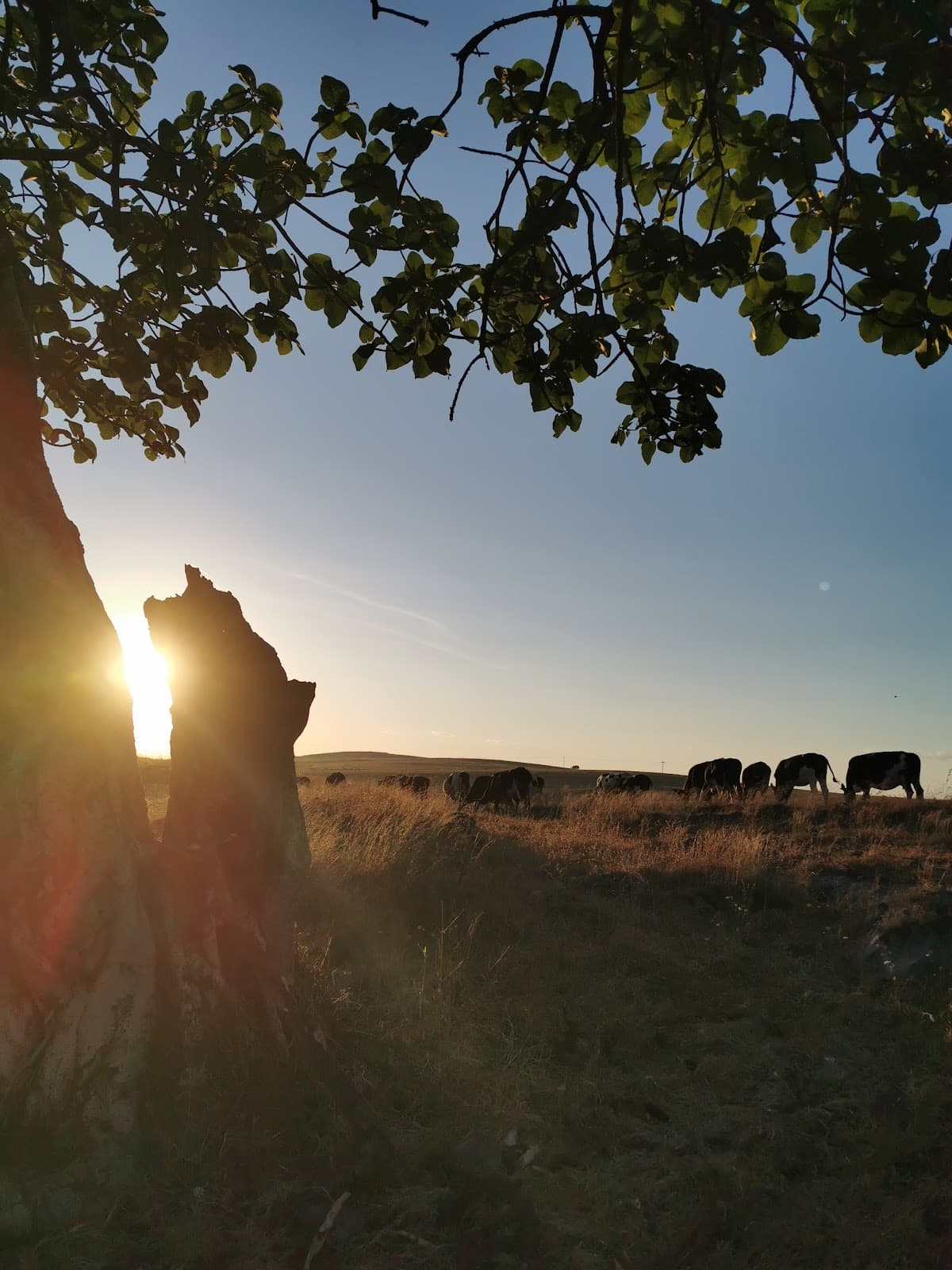 Ashenhaib for Primary Education - Photo 3 of 2