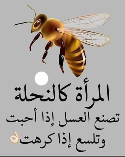 Khawlah bint Hakeem for Primary Education - School Building