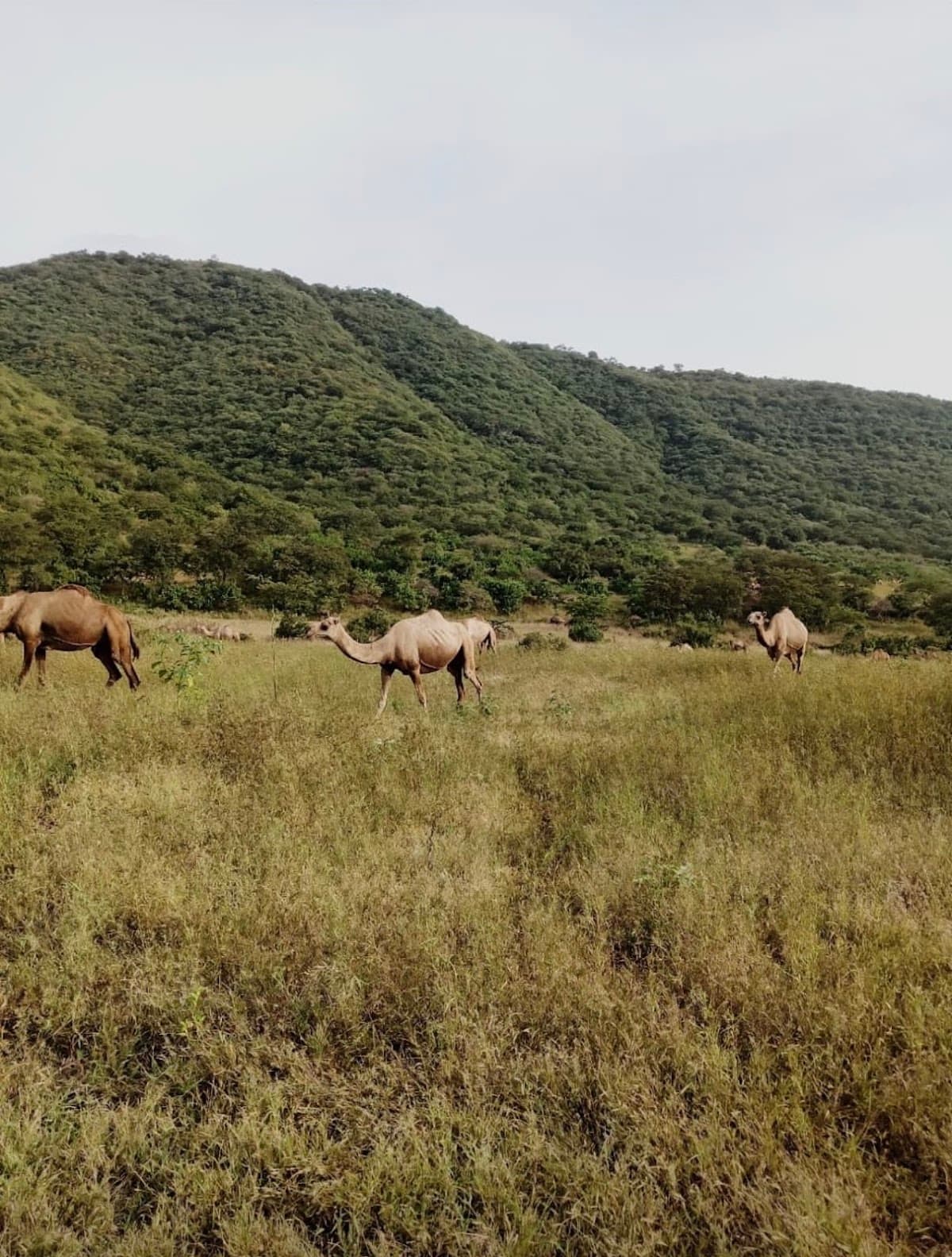 Madainat Al-haq for Primary Education - Photo 3 of 3