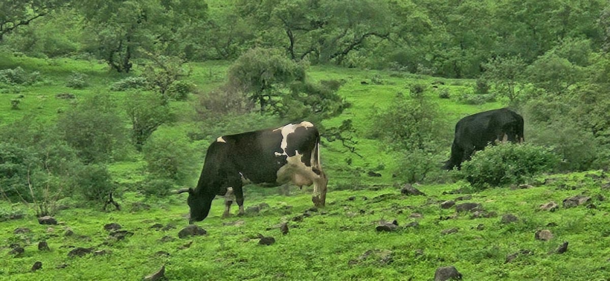 Madainat Al-haq School - Photo 3 of 3