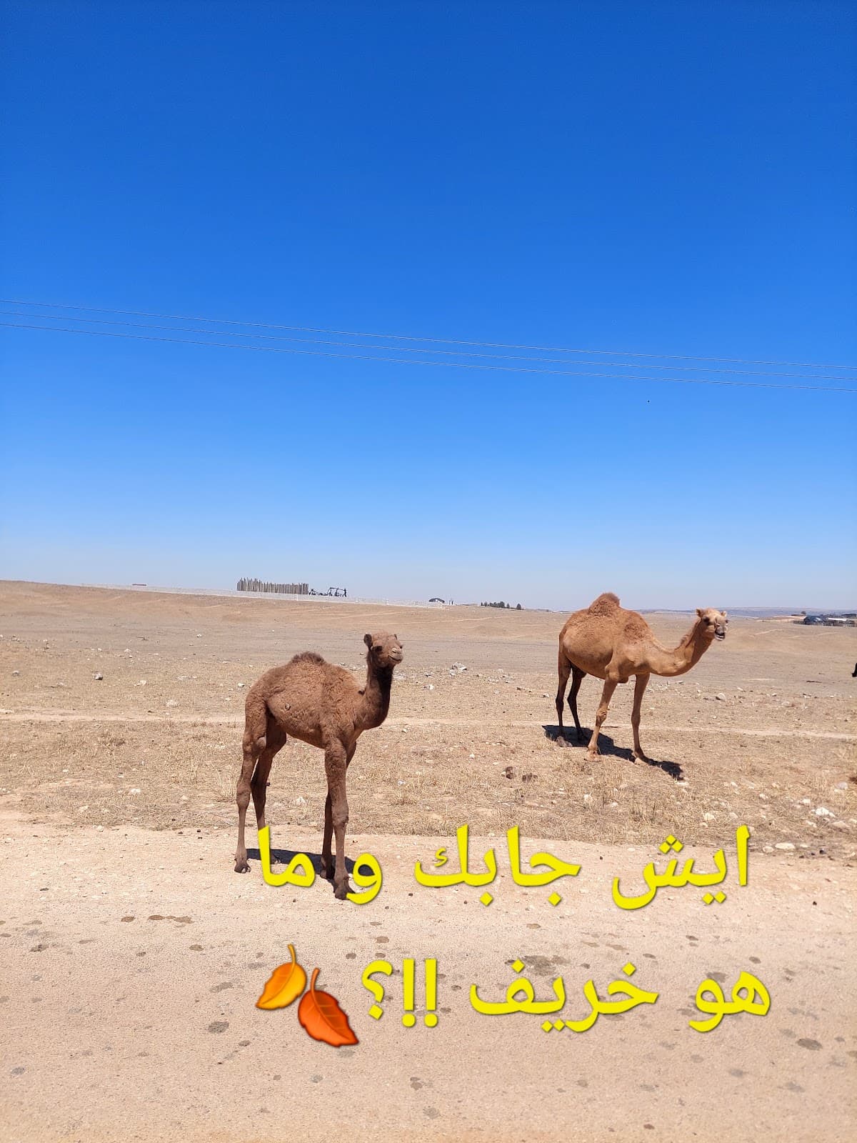 Gebgat for Primary Education - Photo 2 of 3