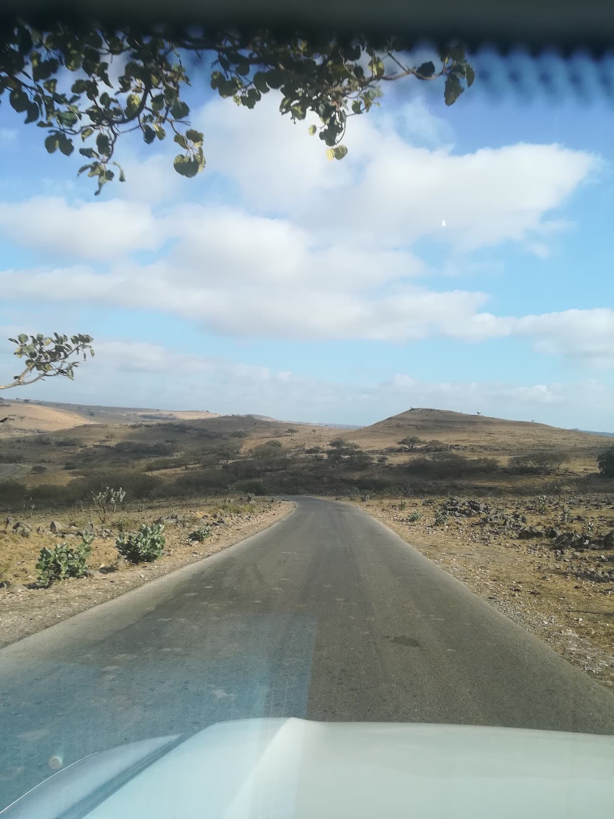 Gayloob for Primary Education - Photo 2 of 2