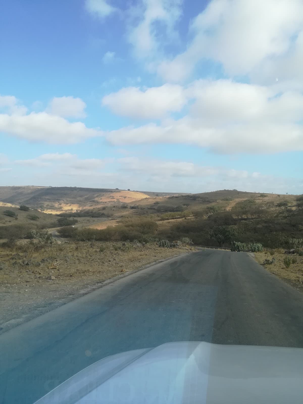 Gayloob for Primary Education - Photo 3 of 2