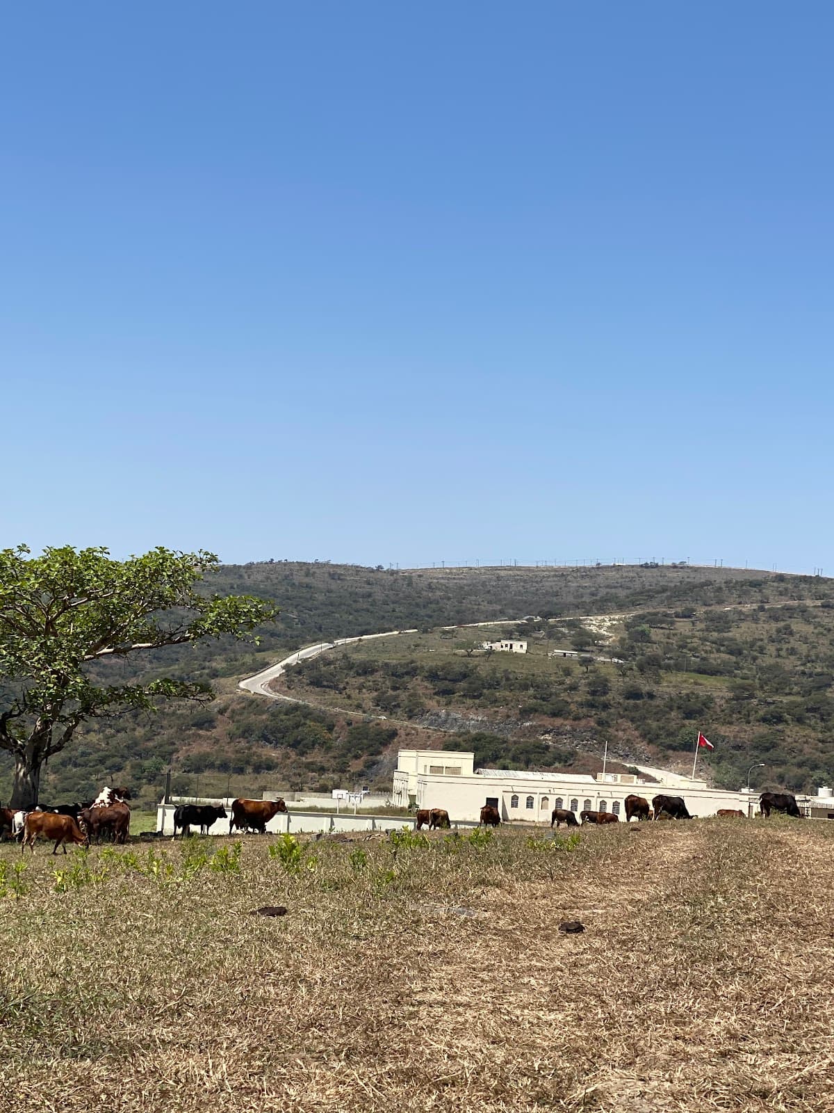 Hufoof School - Photo 1 of 3