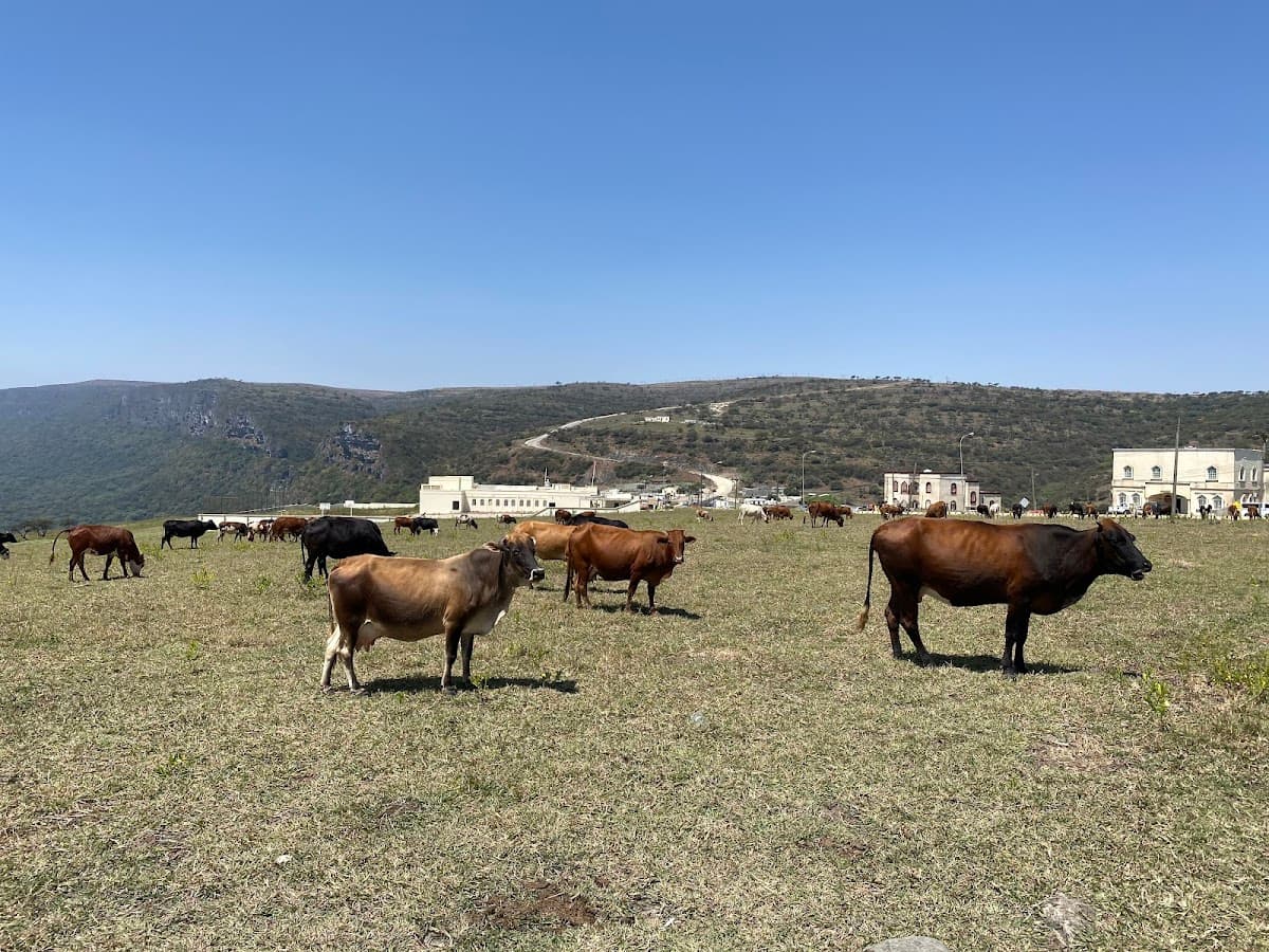 Hufoof for Primary Education - Photo 4 of 3