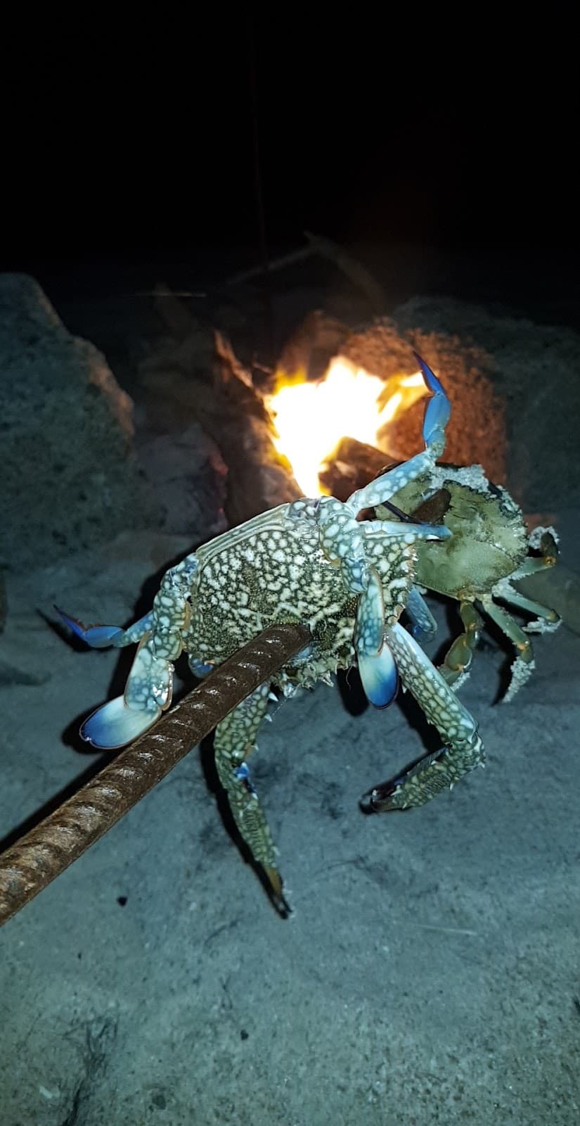 Kulof School - Photo 3 of 3