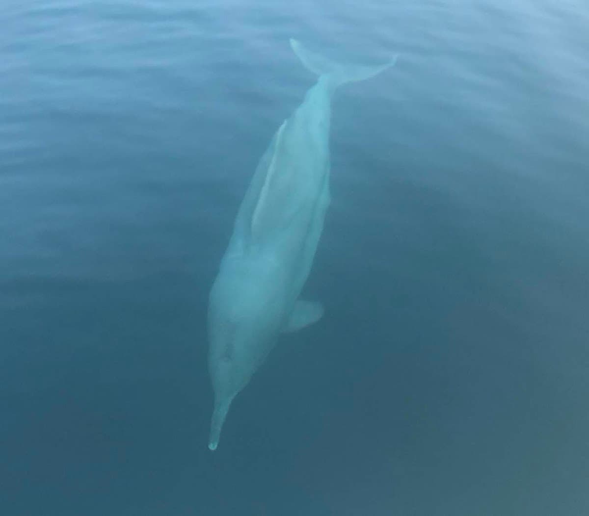Abu Baker Al Siddiq School - Photo 1 of 1