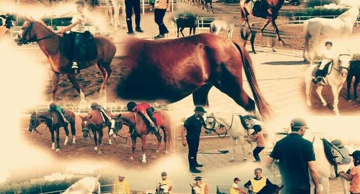 مدرسة شمس العلوم الخاصة - School Building