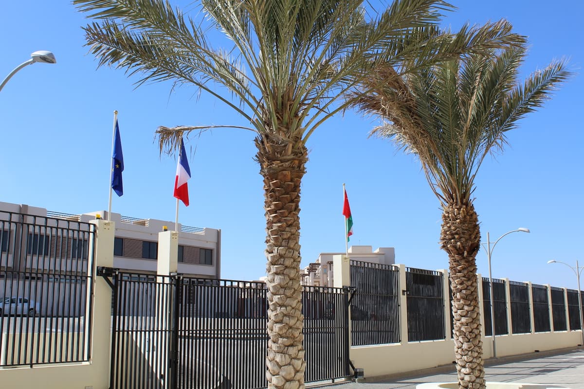 International French School of Muscat - Photo 2 of 3