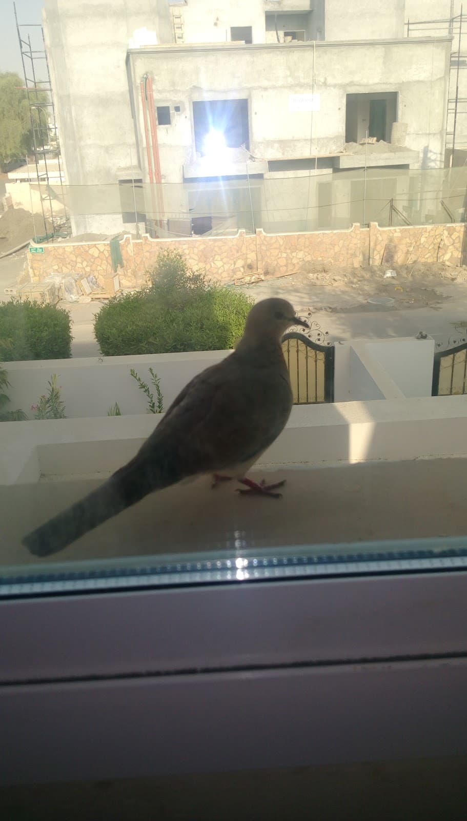 Al Ghubra Private School - Photo 2 of 3