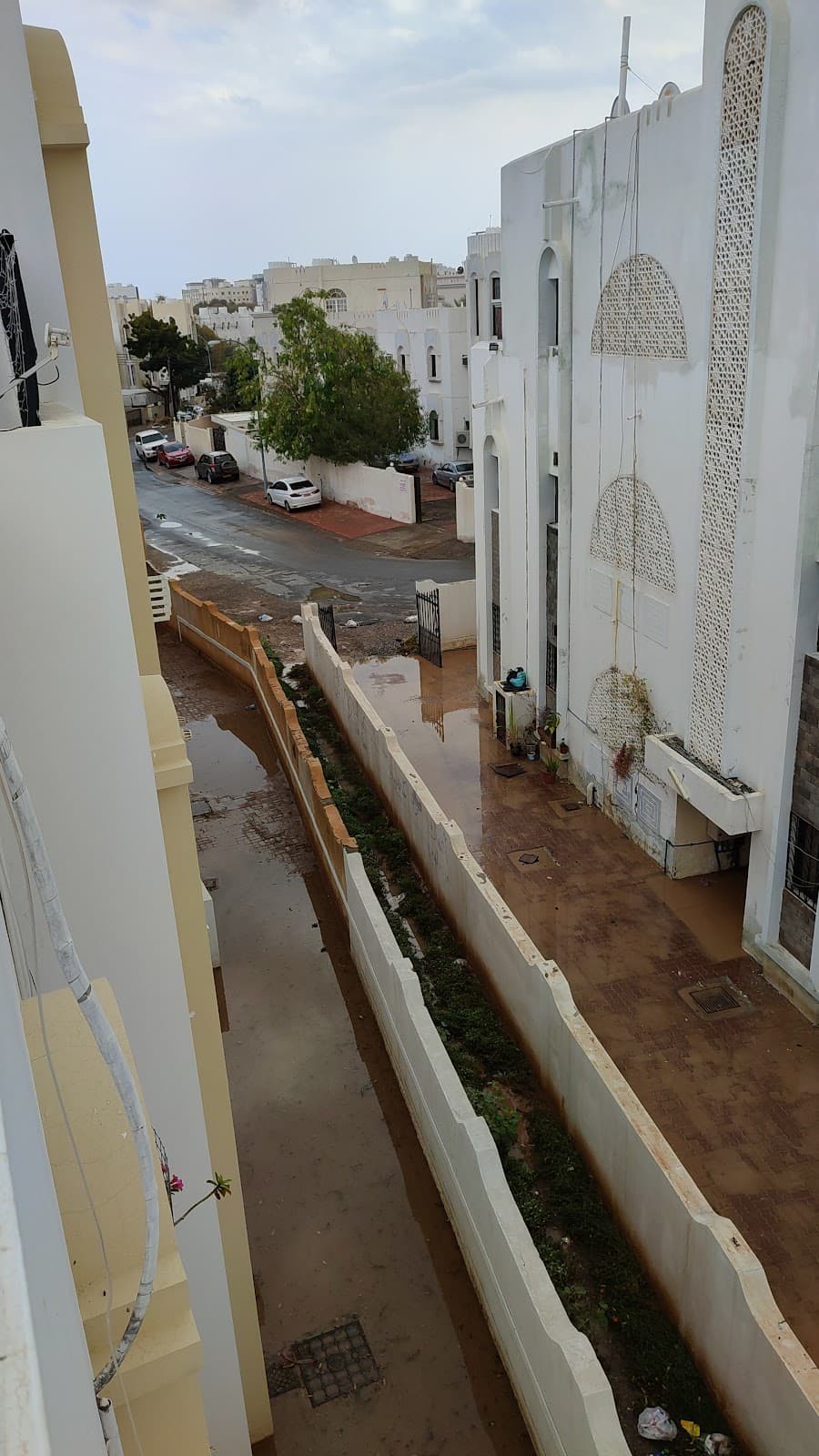 Indian School Al Ghubra - Photo 4 of 3