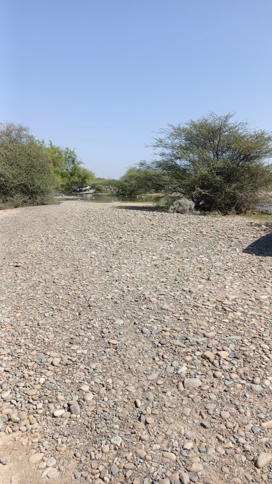 Jafar Bin Abi Talib School - Photo 1 of 3