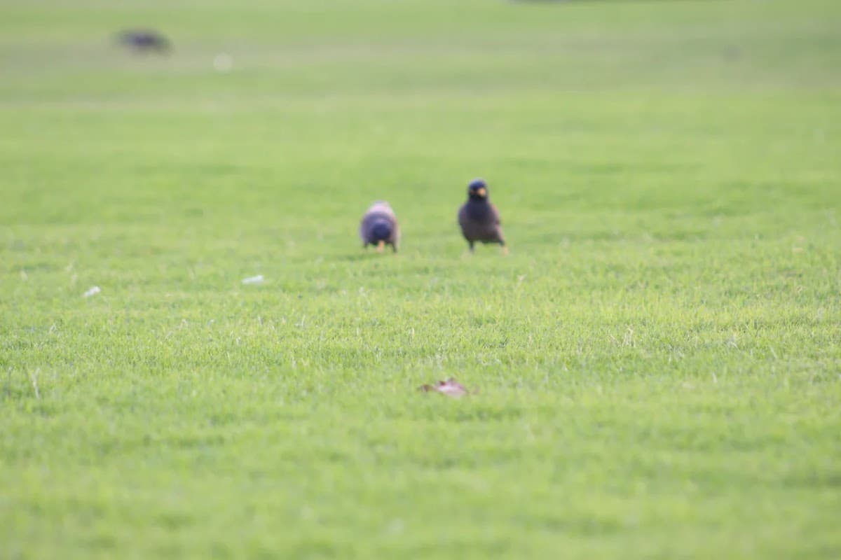 Mohammed Bin Almoala Akindi for Primary Education - Photo 3 of 2