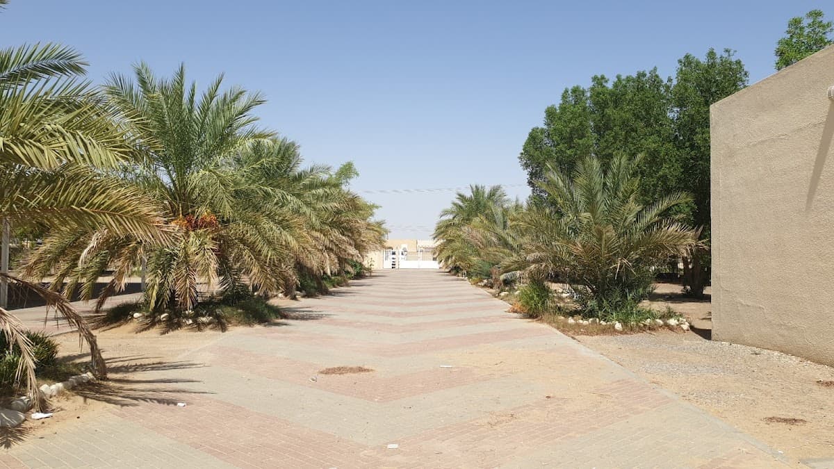 Abu Mosa Al Ashari for Primary Education - Photo 2 of 3