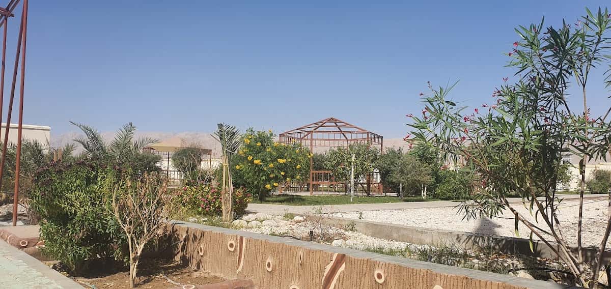 Um Ateya Al Ensaria School - Dhank, Al Dhahirah - School in Oman