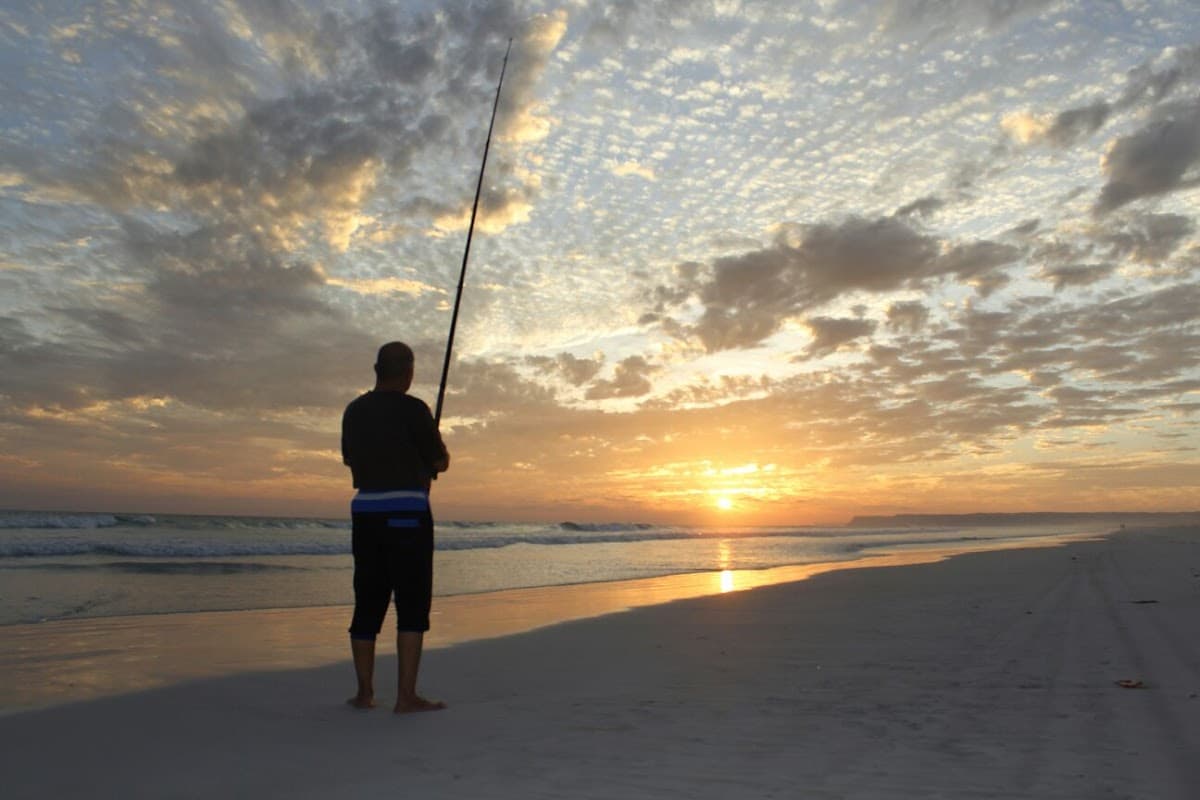 SHurbthat for Primary Education - Photo 4 of 3